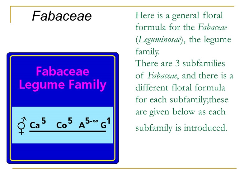 Here is a general floral formula for the Fabaceae (Leguminosae), the legume family. 